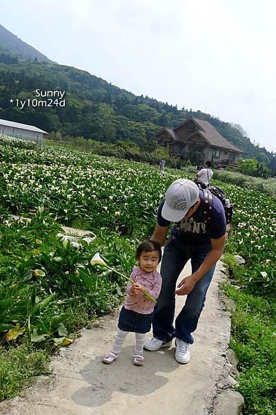 [兔兒遊台北。1Y10M+] 春の湯花小旅行(4)~綠山谷 Cafe 午茶 &#038; 漫步頂湖海芋田 @兔兒毛毛姊妹花