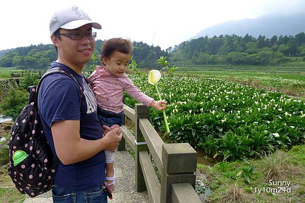 [兔兒遊台北。1Y10M+] 春の湯花小旅行(4)~綠山谷 Cafe 午茶 &#038; 漫步頂湖海芋田 @兔兒毛毛姊妹花