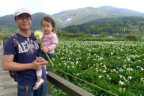 [兔兒遊台北。1Y10M+] 春の湯花小旅行(4)~綠山谷 Cafe 午茶 &#038; 漫步頂湖海芋田 @兔兒毛毛姊妹花