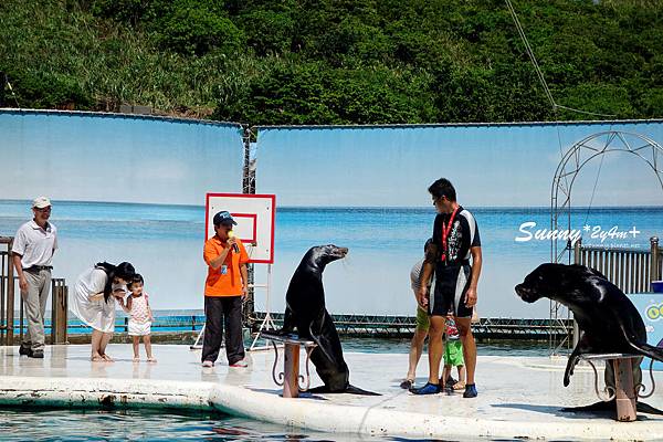 [親子遊。台北] 北海岸一日遊~玩沙。戲水。看海豚。逛老街 @兔兒毛毛姊妹花