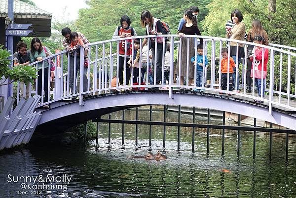 [親子遊。高雄] 追逐暖陽小旅行(下)-動物園裡看飛機??@好好玩的淨園農場 @兔兒毛毛姊妹花