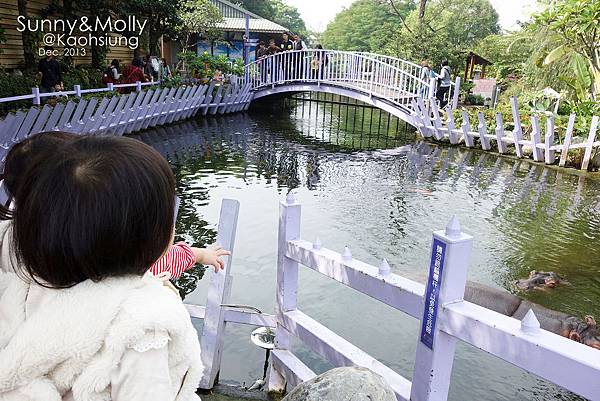 [親子遊。高雄] 追逐暖陽小旅行(下)-動物園裡看飛機??@好好玩的淨園農場 @兔兒毛毛姊妹花