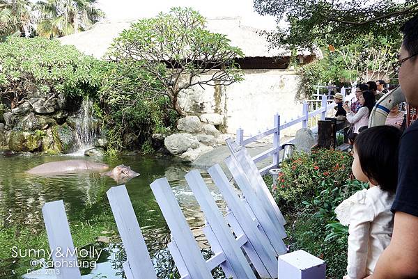 [親子遊。高雄] 追逐暖陽小旅行(下)-動物園裡看飛機??@好好玩的淨園農場 @兔兒毛毛姊妹花