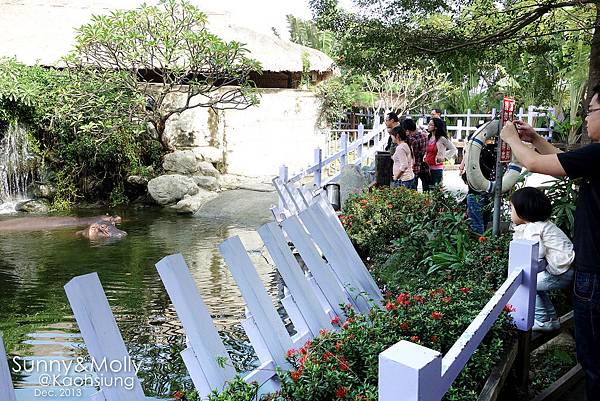 [親子遊。高雄] 追逐暖陽小旅行(下)-動物園裡看飛機??@好好玩的淨園農場 @兔兒毛毛姊妹花