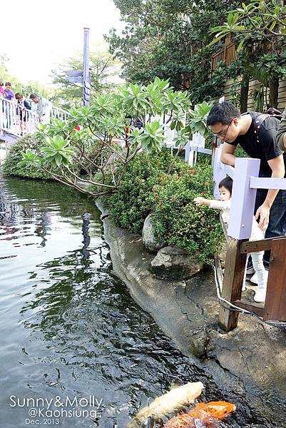 [親子遊。高雄] 追逐暖陽小旅行(下)-動物園裡看飛機??@好好玩的淨園農場 @兔兒毛毛姊妹花