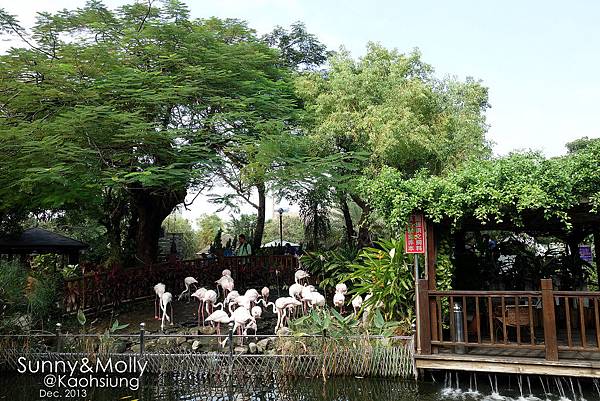 [親子遊。高雄] 追逐暖陽小旅行(下)-動物園裡看飛機??@好好玩的淨園農場 @兔兒毛毛姊妹花