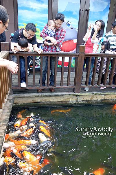 [親子遊。高雄] 追逐暖陽小旅行(下)-動物園裡看飛機??@好好玩的淨園農場 @兔兒毛毛姊妹花