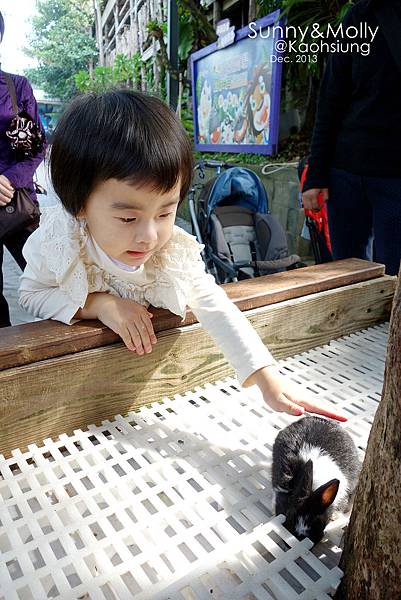 [親子遊。高雄] 追逐暖陽小旅行(下)-動物園裡看飛機??@好好玩的淨園農場 @兔兒毛毛姊妹花