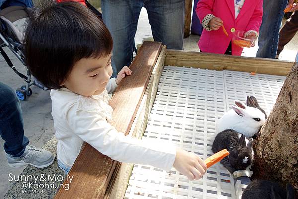 [親子遊。高雄] 追逐暖陽小旅行(下)-動物園裡看飛機??@好好玩的淨園農場 @兔兒毛毛姊妹花