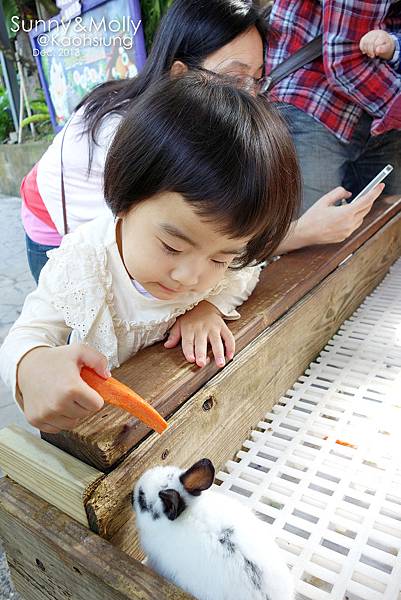 [親子遊。高雄] 追逐暖陽小旅行(下)-動物園裡看飛機??@好好玩的淨園農場 @兔兒毛毛姊妹花