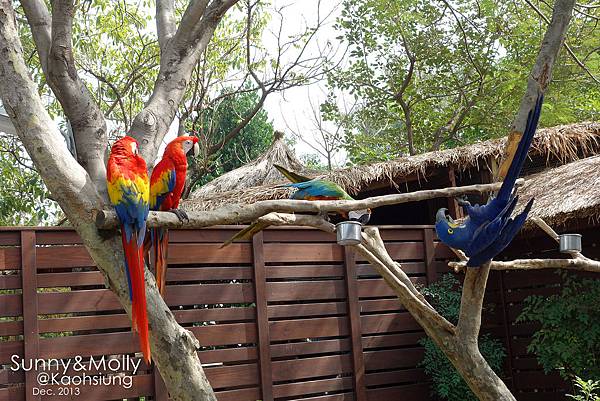 [親子遊。高雄] 追逐暖陽小旅行(下)-動物園裡看飛機??@好好玩的淨園農場 @兔兒毛毛姊妹花