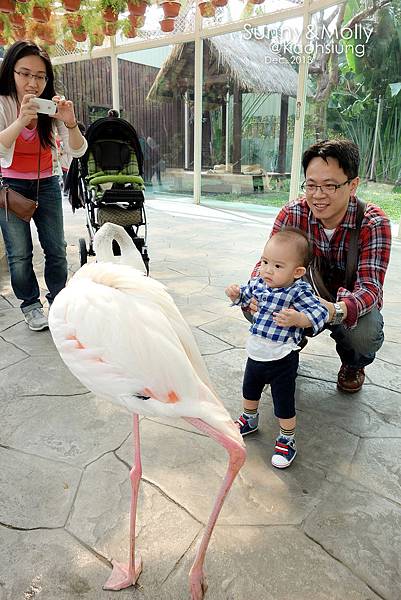 [親子遊。高雄] 追逐暖陽小旅行(下)-動物園裡看飛機??@好好玩的淨園農場 @兔兒毛毛姊妹花