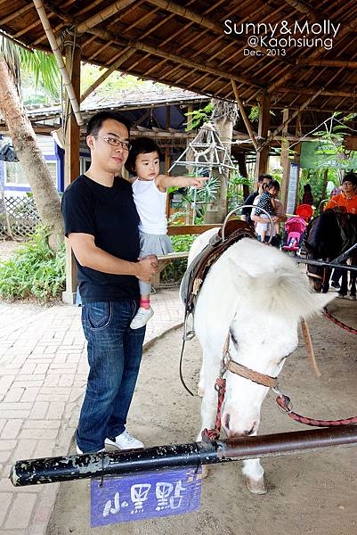 [親子遊。高雄] 追逐暖陽小旅行(下)-動物園裡看飛機??@好好玩的淨園農場 @兔兒毛毛姊妹花