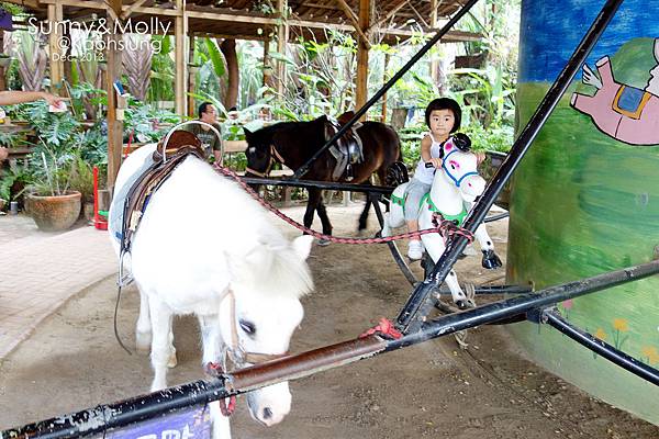 [親子遊。高雄] 追逐暖陽小旅行(下)-動物園裡看飛機??@好好玩的淨園農場 @兔兒毛毛姊妹花