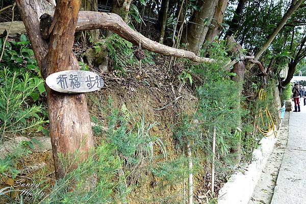 [親子遊。台北] 擴邦麵包早餐+內湖『莓圃』採草莓攻略 @兔兒毛毛姊妹花