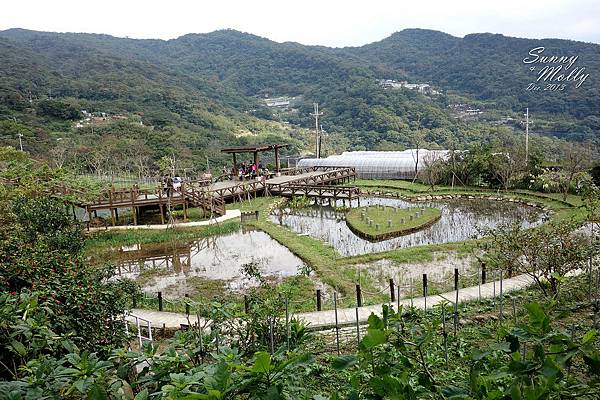 [親子遊。台北] 擴邦麵包早餐+內湖『莓圃』採草莓攻略 @兔兒毛毛姊妹花