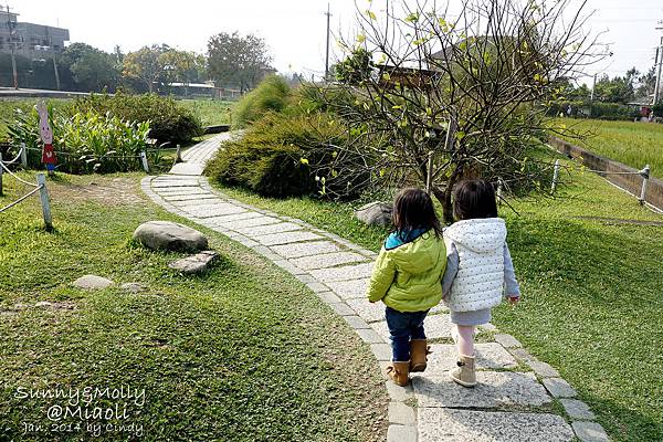 [親子遊。苗栗] 草莓。溫泉。牧場行 (上)-棗莊用餐餵兔子&#038;大湖採草莓 @兔兒毛毛姊妹花