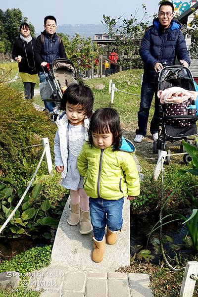 [親子遊。苗栗] 草莓。溫泉。牧場行 (上)-棗莊用餐餵兔子&#038;大湖採草莓 @兔兒毛毛姊妹花