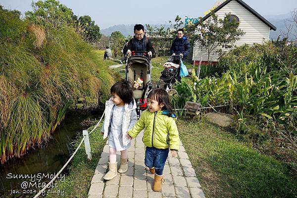 [親子遊。苗栗] 草莓。溫泉。牧場行 (上)-棗莊用餐餵兔子&#038;大湖採草莓 @兔兒毛毛姊妹花