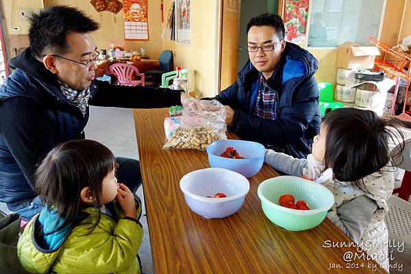 [親子遊。苗栗] 草莓。溫泉。牧場行 (上)-棗莊用餐餵兔子&#038;大湖採草莓 @兔兒毛毛姊妹花