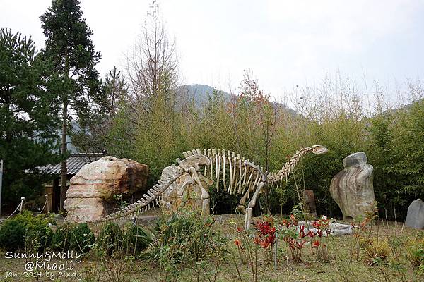 [親子遊。苗栗] 草莓。溫泉。牧場行 (下)-巧克力雲莊賞櫻+用餐&#038;四方牧場餵小牛+滑草 @兔兒毛毛姊妹花