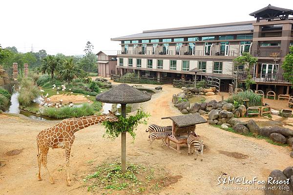 [新竹。親子飯店] 兔兒3歲 BdayTrip (上)-和長頸鹿當鄰居@六福莊生態度假旅館 (含訂房攻略) @兔兒毛毛姊妹花