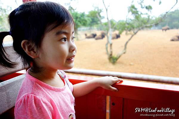 [新竹。親子景點] 兔兒3歲 BdayTrip (下)-帶著小童也能暢遊六福村 (3Y小童玩樂攻略) @兔兒毛毛姊妹花