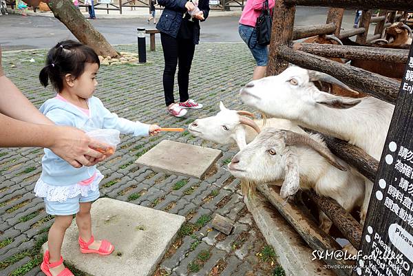 [新竹。親子景點] 兔兒3歲 BdayTrip (下)-帶著小童也能暢遊六福村 (3Y小童玩樂攻略) @兔兒毛毛姊妹花