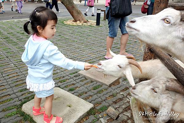 [新竹。親子景點] 兔兒3歲 BdayTrip (下)-帶著小童也能暢遊六福村 (3Y小童玩樂攻略) @兔兒毛毛姊妹花