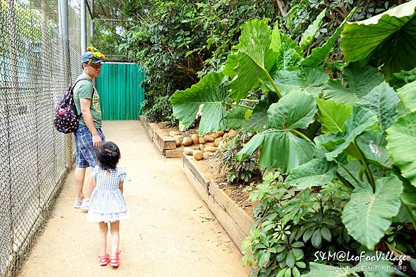 [新竹。親子景點] 兔兒3歲 BdayTrip (下)-帶著小童也能暢遊六福村 (3Y小童玩樂攻略) @兔兒毛毛姊妹花