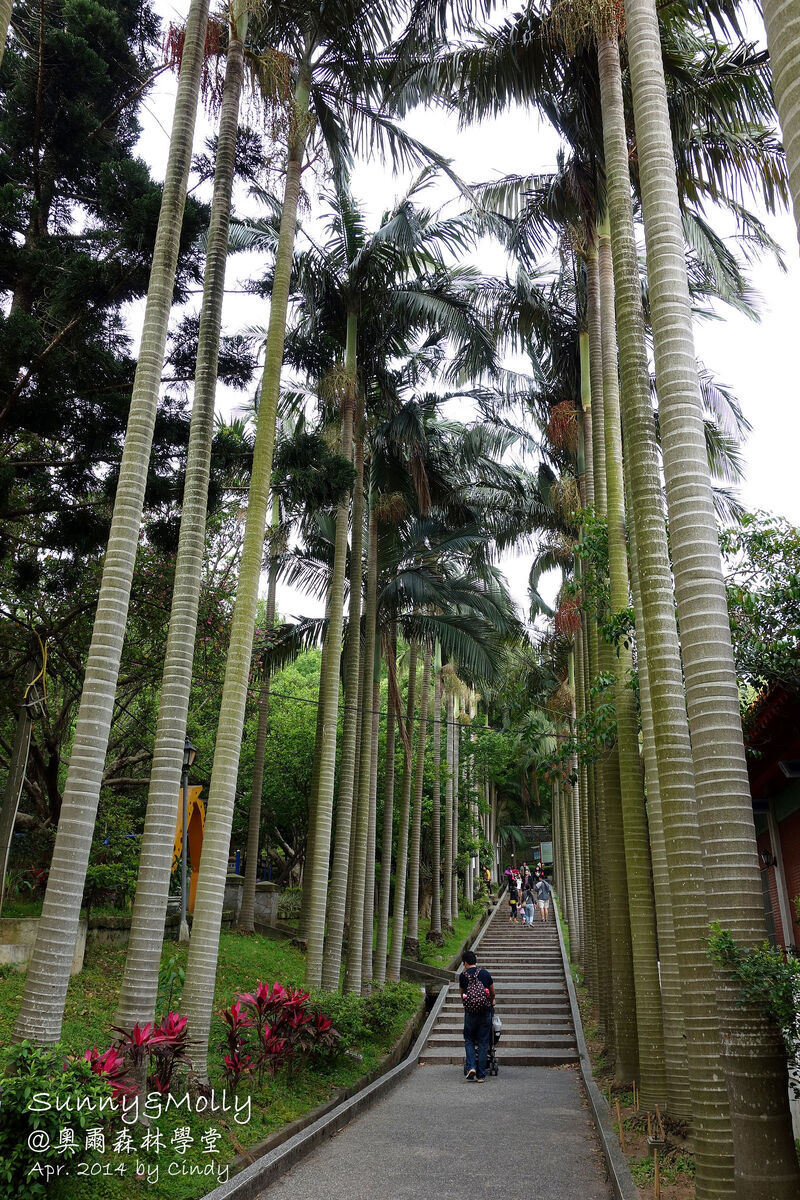 [桃園。特色公園] 虎頭山公園。奧爾森林學堂～免費溜滑梯玩不完～桃園免費景點 @兔兒毛毛姊妹花