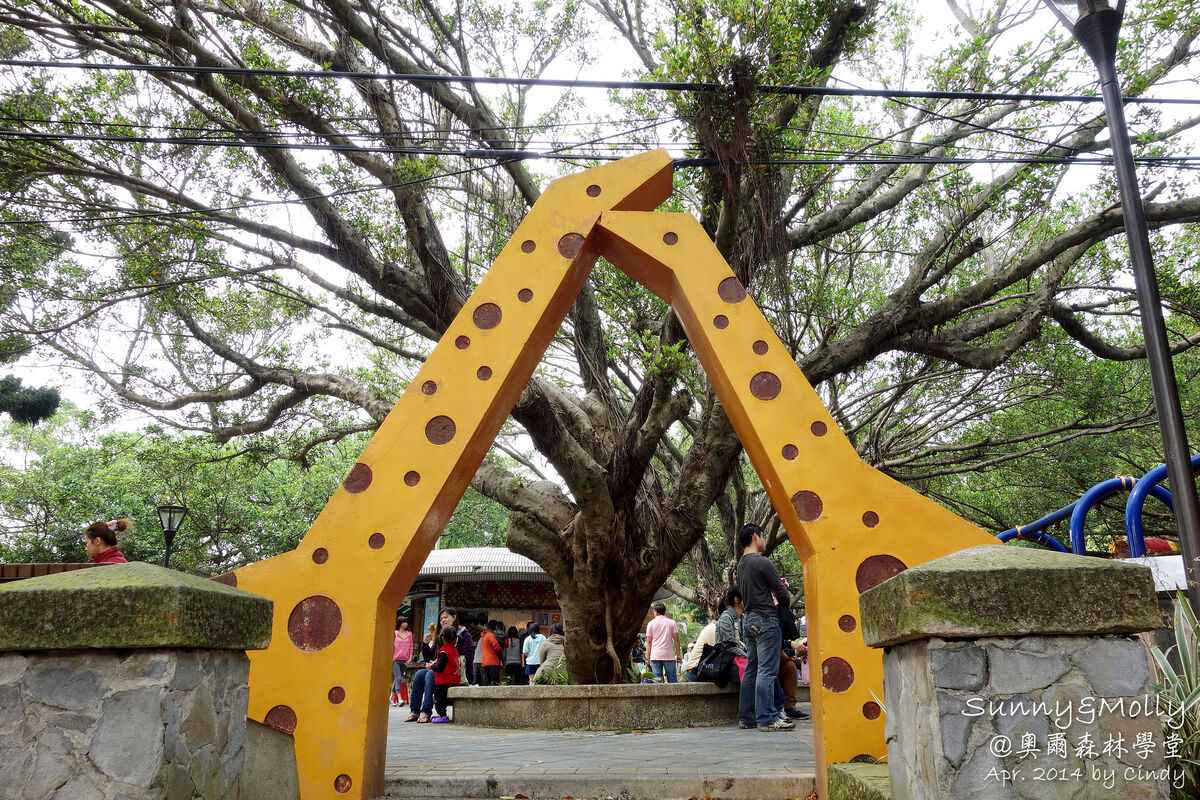 [桃園。特色公園] 虎頭山公園。奧爾森林學堂～免費溜滑梯玩不完～桃園免費景點 @兔兒毛毛姊妹花