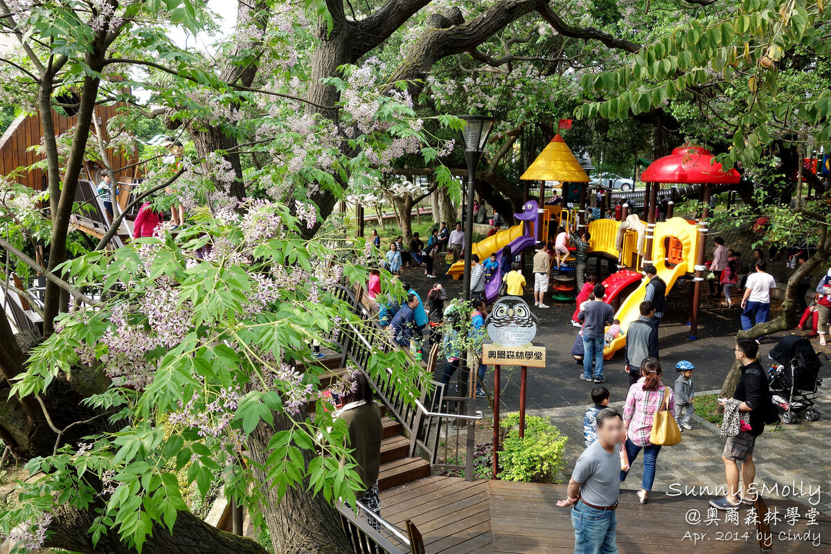 [桃園。特色公園] 虎頭山公園。奧爾森林學堂～免費溜滑梯玩不完～桃園免費景點 @兔兒毛毛姊妹花