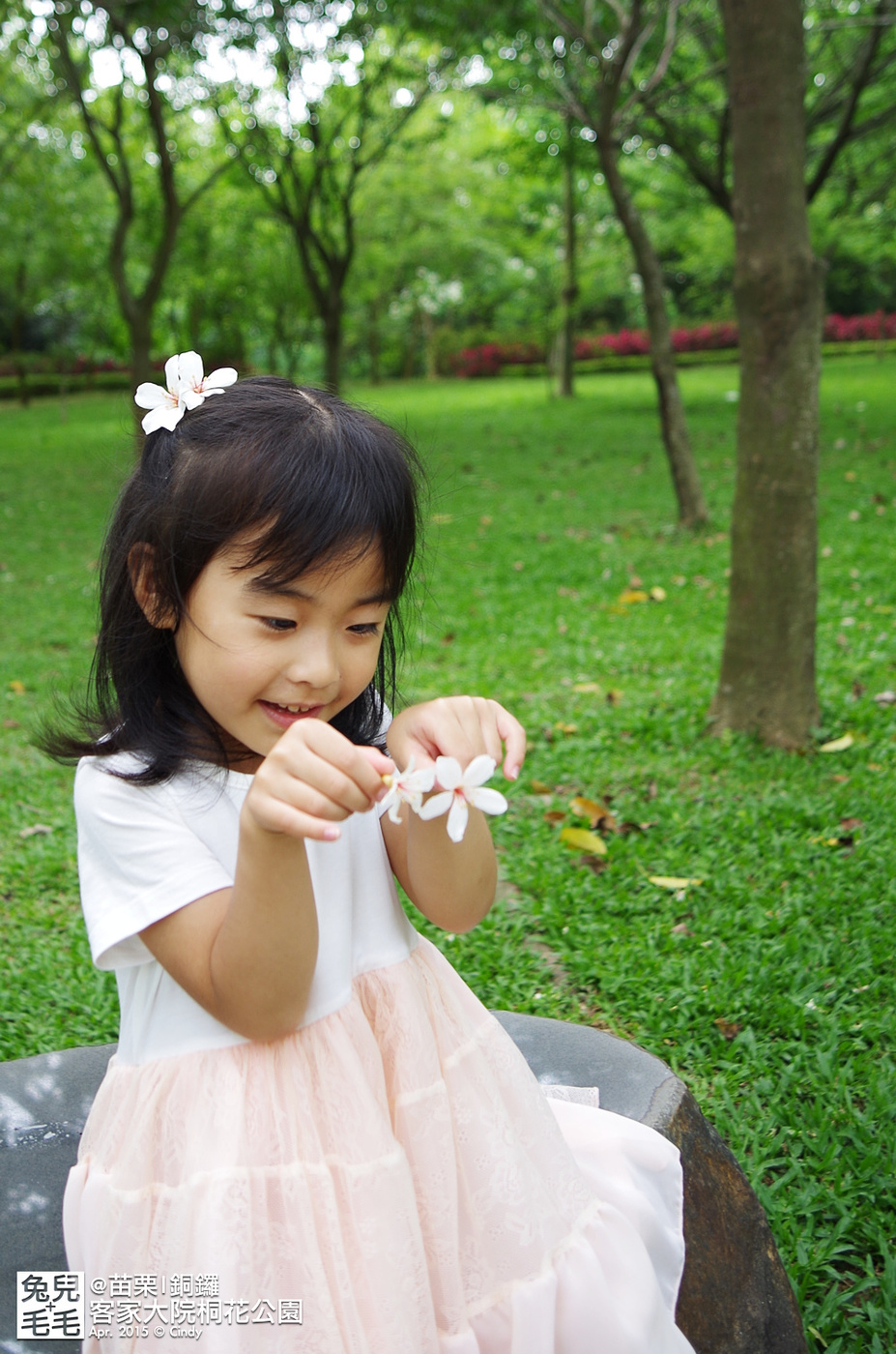 [親子遊。苗栗]  追逐五月雪～客家大院 桐花公園賞桐花 (2015-0418 花況) @兔兒毛毛姊妹花