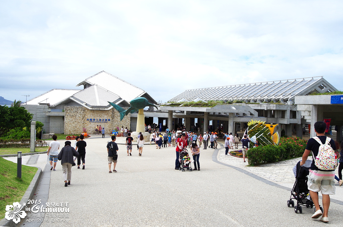 [2015。沖繩|親子|自駕] 在『沖縄美ら海水族館』和魚兒一起吃午茶，『海洋博公園』免費海豚秀～ @兔兒毛毛姊妹花