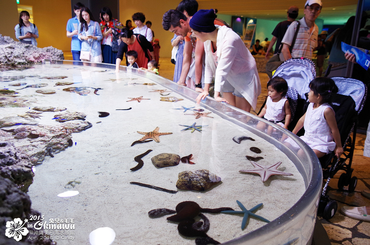 [2015。沖繩|親子|自駕] 在『沖縄美ら海水族館』和魚兒一起吃午茶，『海洋博公園』免費海豚秀～ @兔兒毛毛姊妹花