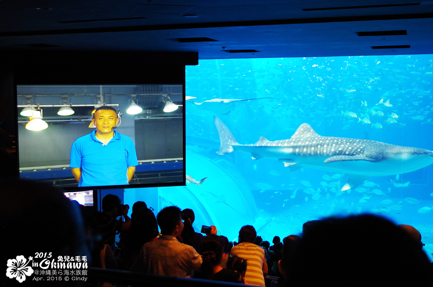 [2015。沖繩|親子|自駕] 在『沖縄美ら海水族館』和魚兒一起吃午茶，『海洋博公園』免費海豚秀～ @兔兒毛毛姊妹花