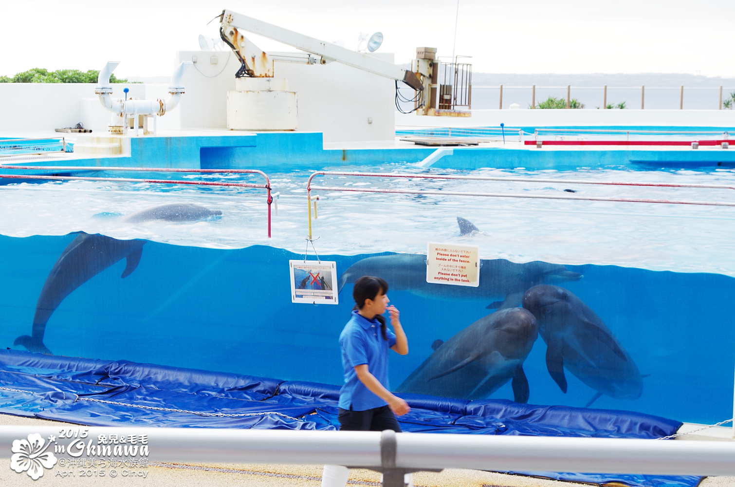 [2015。沖繩|親子|自駕] 在『沖縄美ら海水族館』和魚兒一起吃午茶，『海洋博公園』免費海豚秀～ @兔兒毛毛姊妹花