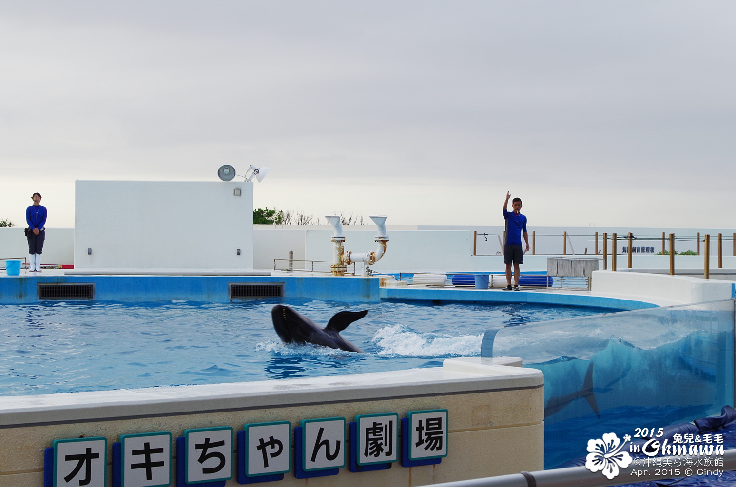 [2015。沖繩|親子|自駕] 在『沖縄美ら海水族館』和魚兒一起吃午茶，『海洋博公園』免費海豚秀～ @兔兒毛毛姊妹花