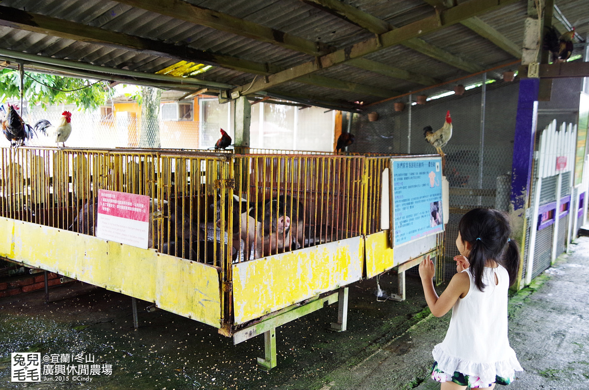 廣興農場鴨母寮豬哥窟｜宜蘭冬山摸蜆兼洗褲、餵動物、控窯 DIY，還有阿嬤古早味料理 @兔兒毛毛姊妹花