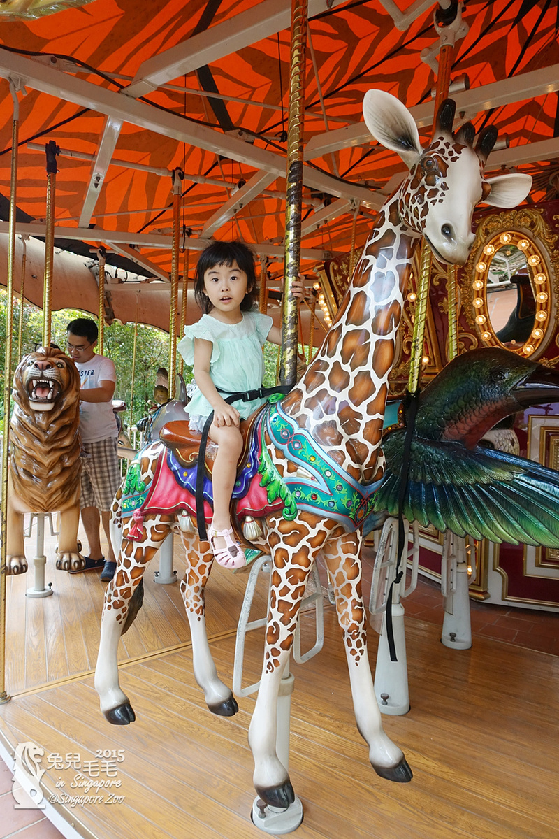 [2015。新馬|親子|自助]『新加坡動物園』(下)～不只是最棒的雨林動物園，還是超好玩的遊樂園!!! @兔兒毛毛姊妹花