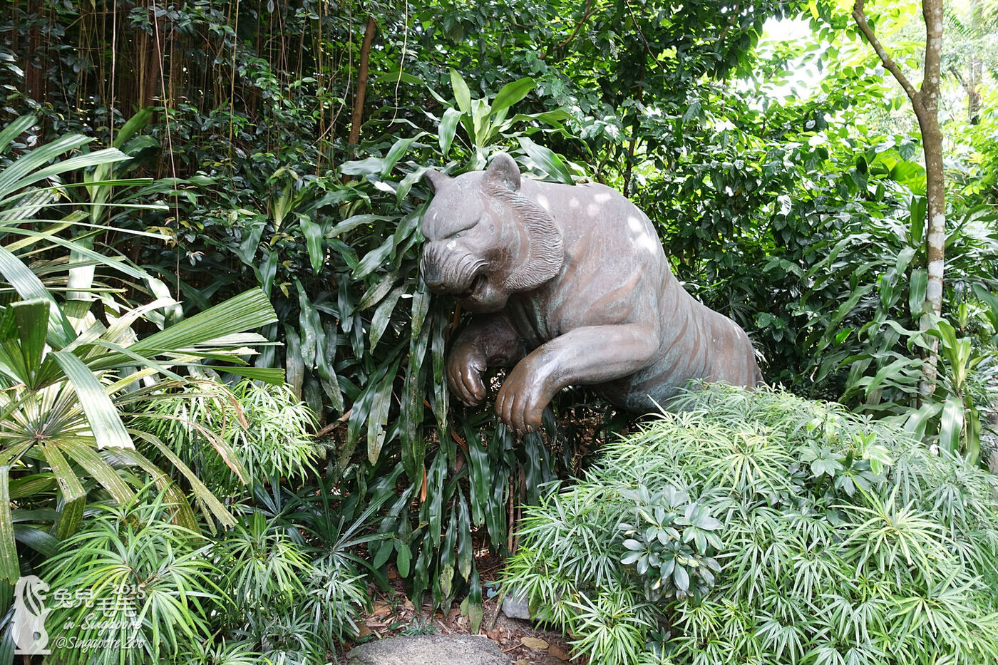 [2015。新馬|親子|自助]『新加坡動物園』(下)～不只是最棒的雨林動物園，還是超好玩的遊樂園!!! @兔兒毛毛姊妹花