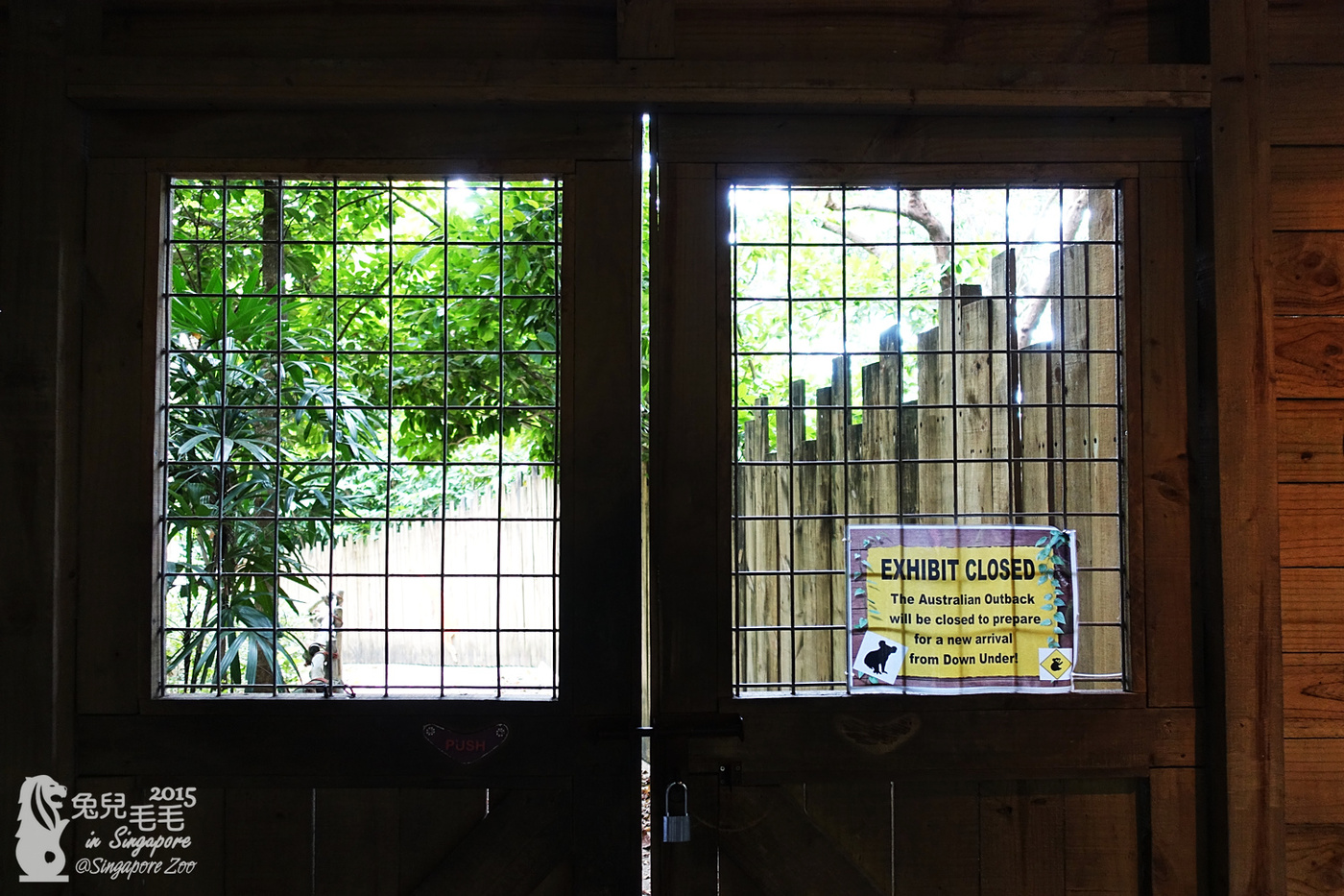 [2015。新馬|親子|自助]『新加坡動物園』(下)～不只是最棒的雨林動物園，還是超好玩的遊樂園!!! @兔兒毛毛姊妹花