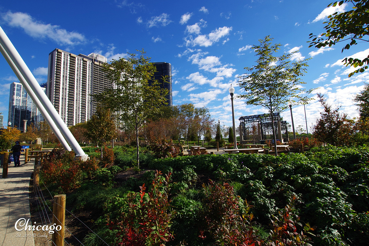 [2015。芝加哥] 湖畔的兒童玩樂天堂～Maggie Daley Park @兔兒毛毛姊妹花