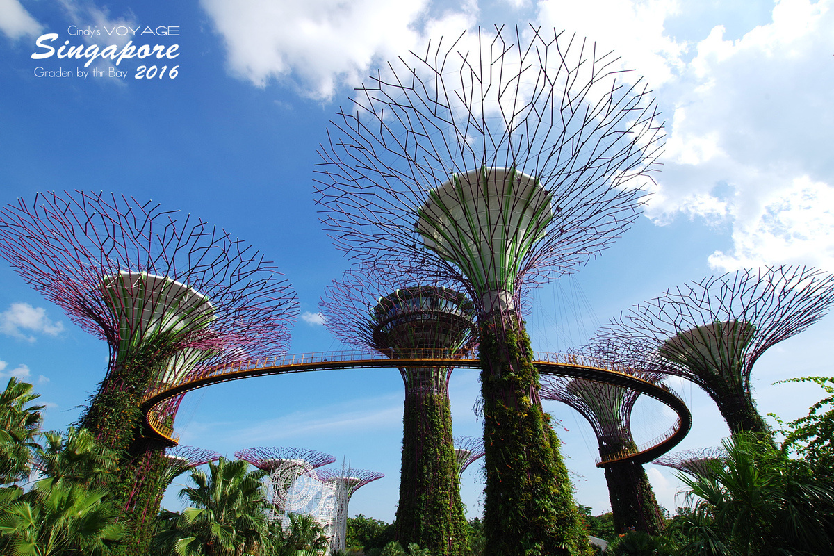 [2016。新加坡] 爬上 Super Tree 眺望『濱海灣花園 Garden by the Bay』美景 (含交通資訊) @兔兒毛毛姊妹花