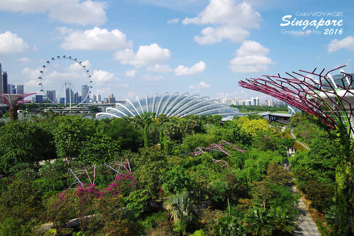 [2016。新加坡] 爬上 Super Tree 眺望『濱海灣花園 Garden by the Bay』美景 (含交通資訊) @兔兒毛毛姊妹花