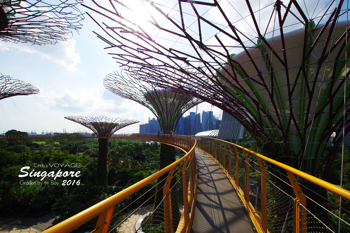 [2016。新加坡] 爬上 Super Tree 眺望『濱海灣花園 Garden by the Bay』美景 (含交通資訊) @兔兒毛毛姊妹花