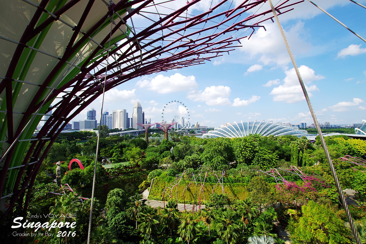 [2016。新加坡] 爬上 Super Tree 眺望『濱海灣花園 Garden by the Bay』美景 (含交通資訊) @兔兒毛毛姊妹花