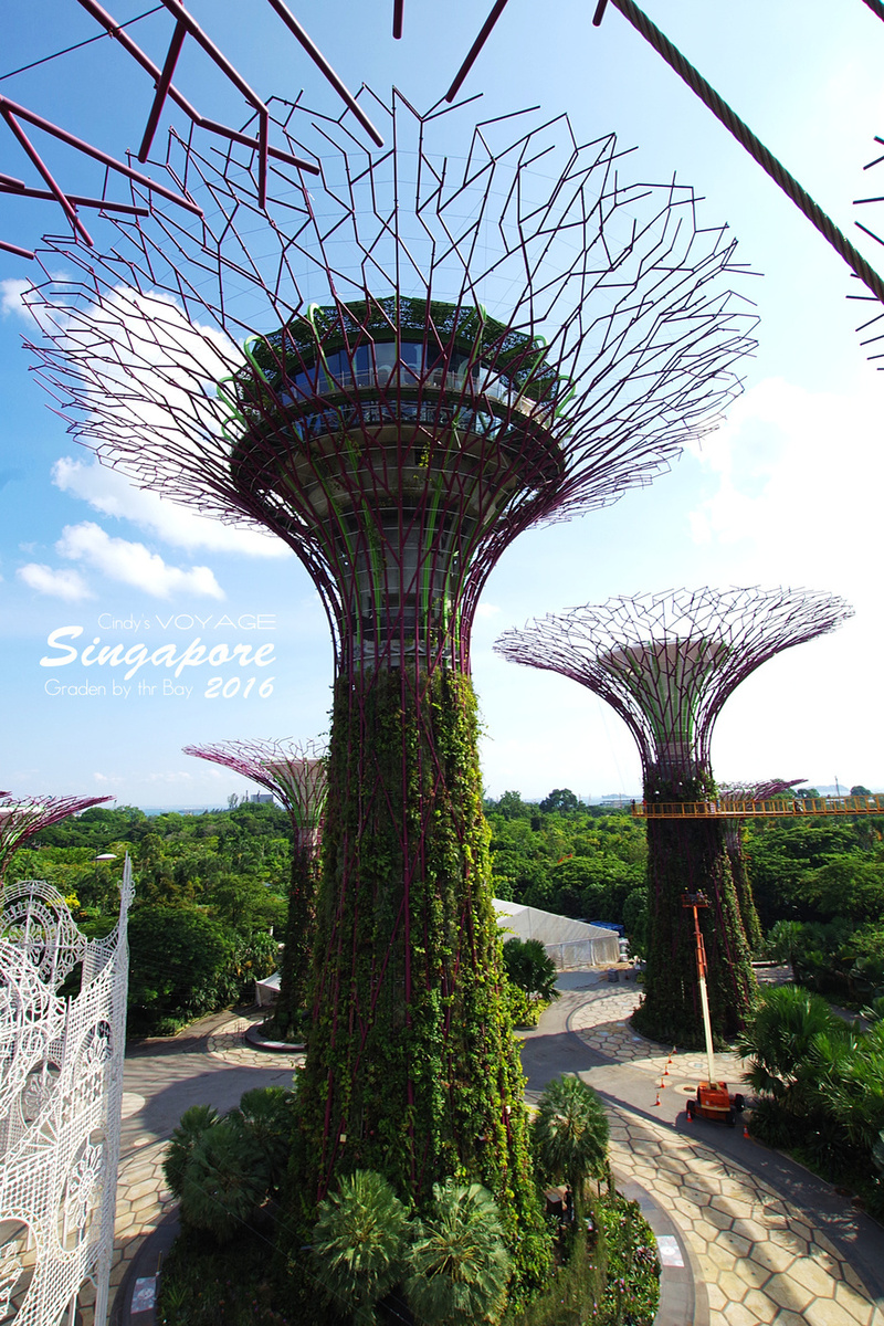 [2016。新加坡] 爬上 Super Tree 眺望『濱海灣花園 Garden by the Bay』美景 (含交通資訊) @兔兒毛毛姊妹花