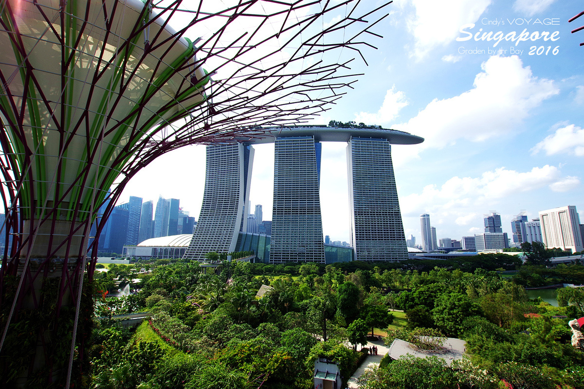 [2016。新加坡] 爬上 Super Tree 眺望『濱海灣花園 Garden by the Bay』美景 (含交通資訊) @兔兒毛毛姊妹花